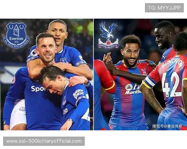 水晶宫0-2埃弗顿，赛后技术统计显示太妃糖防守三区夺回球权次数占优。